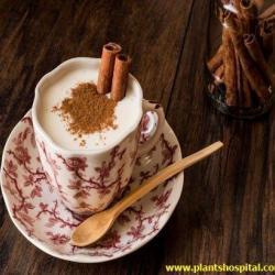 salep