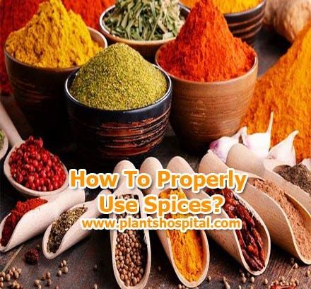 spices-benefits