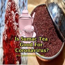 sumac-tea-benefits