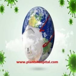 what-is-coronavirus