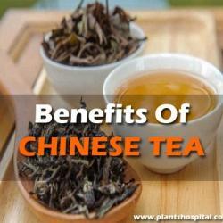Benefits-Of-Chinese-Tea