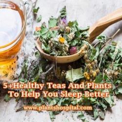 Sleep-Better