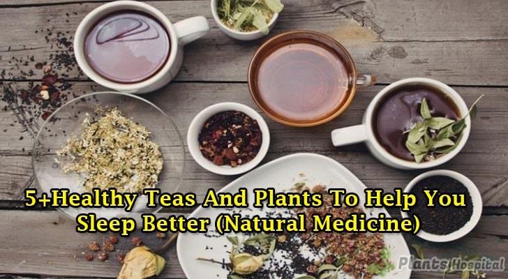 Teas-And-Plants-To-Help-You-sleep-better