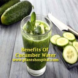 cucumber-water