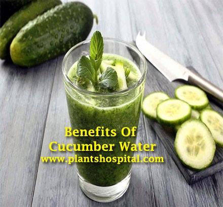 cucumber-water