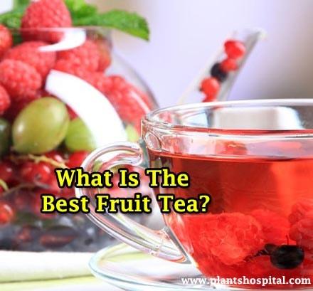 fruit-teas