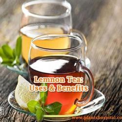 lemon-tea
