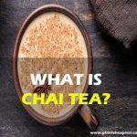what-is-chai-tea