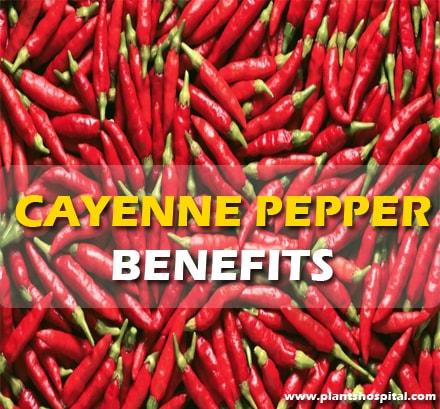 Cayenne-pepper-benefits