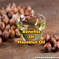 Hazelnut-oil-benefits