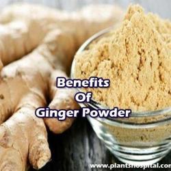ginger-powder